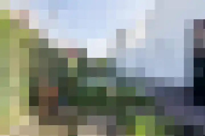 Keurboek 13 Weert thumbnail 47