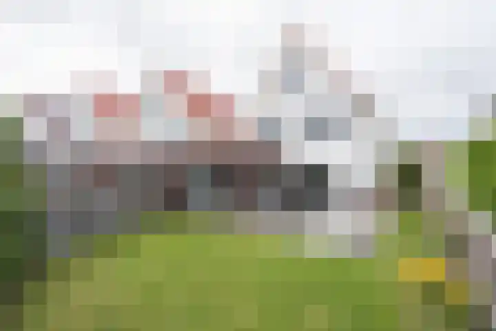 Keurboek 28 Weert thumbnail 4