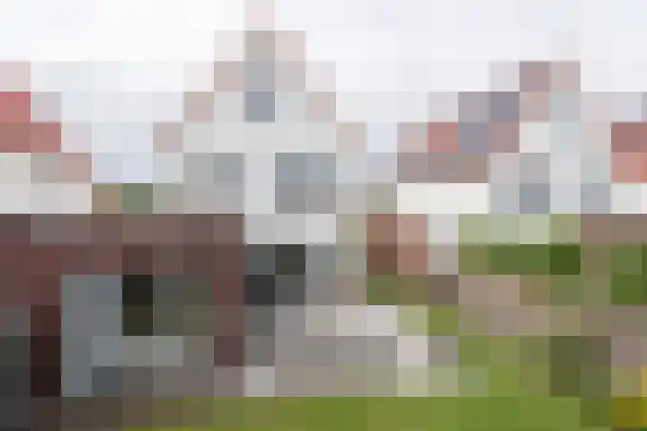 Keurboek 28 Weert thumbnail 44