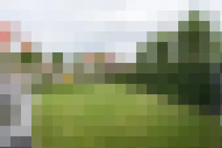 Keurboek 28 Weert thumbnail 47