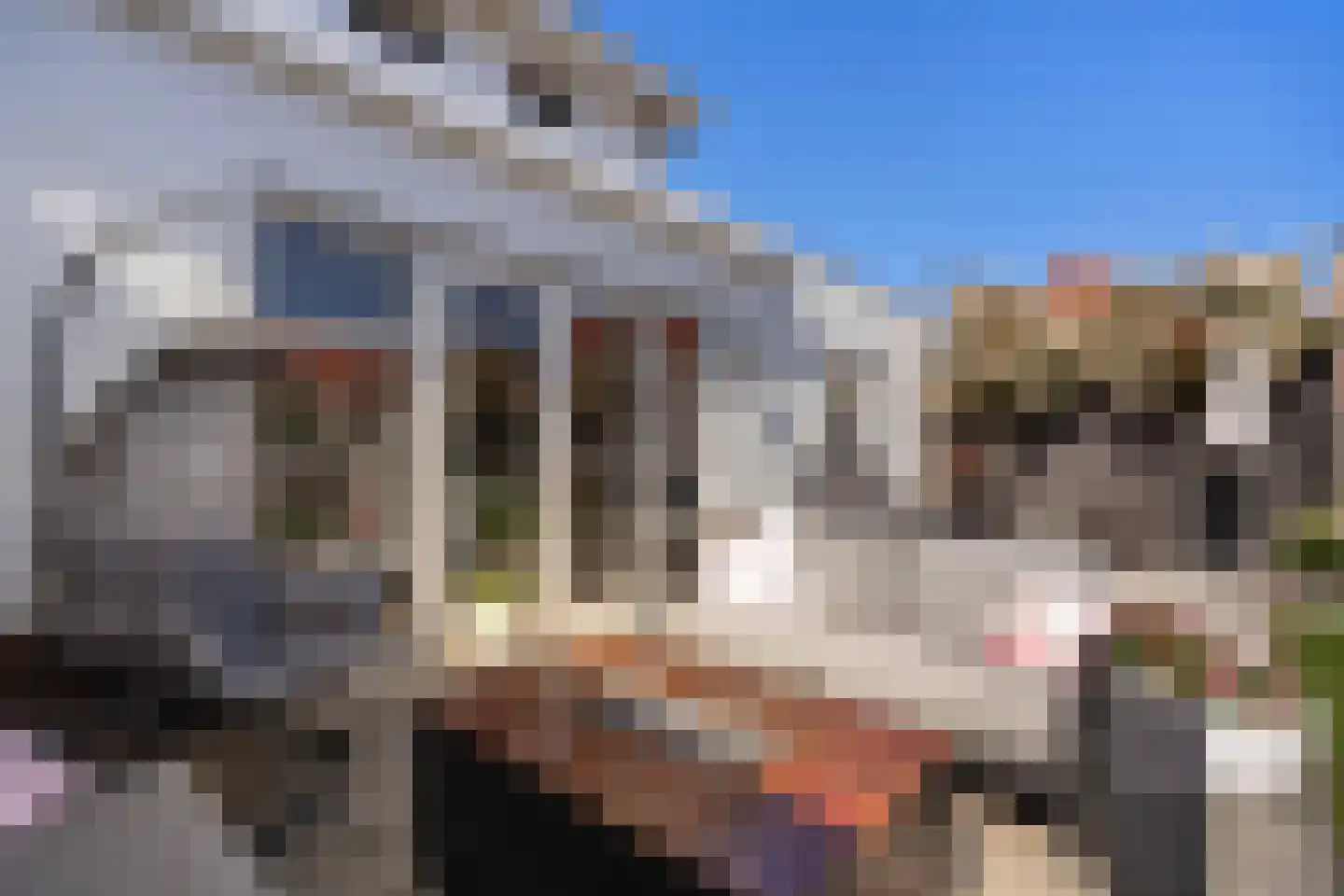 Keurboek 4 Weert thumbnail 40