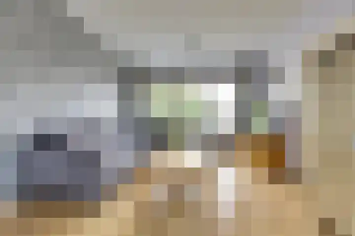 Keurhove 64 Middelburg thumbnail 10