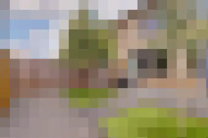 Keurhove 64 Middelburg thumbnail 25