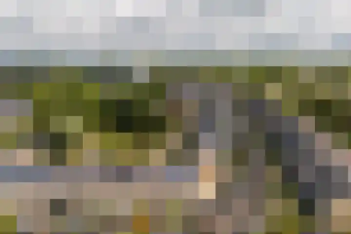Keurhove 64 Middelburg thumbnail 27