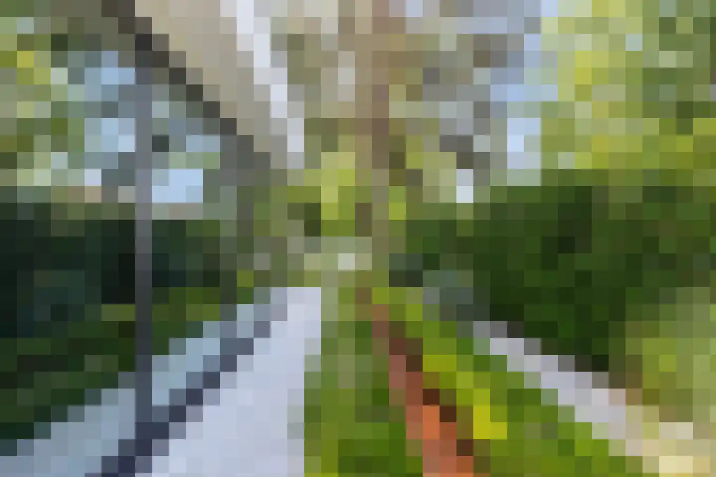 Keurkampstraat 3 Deventer thumbnail 20
