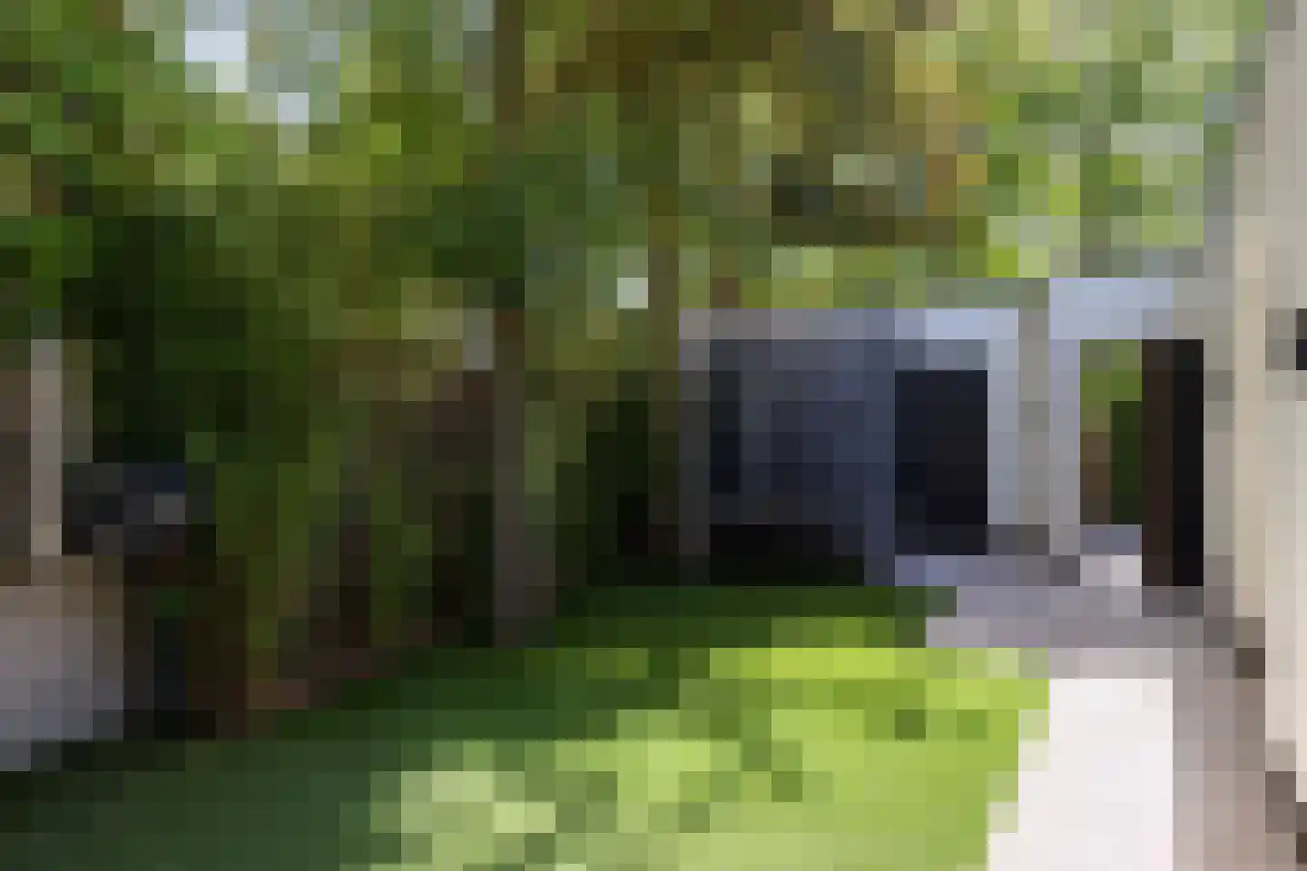 Keurkampstraat 3 Deventer thumbnail 22