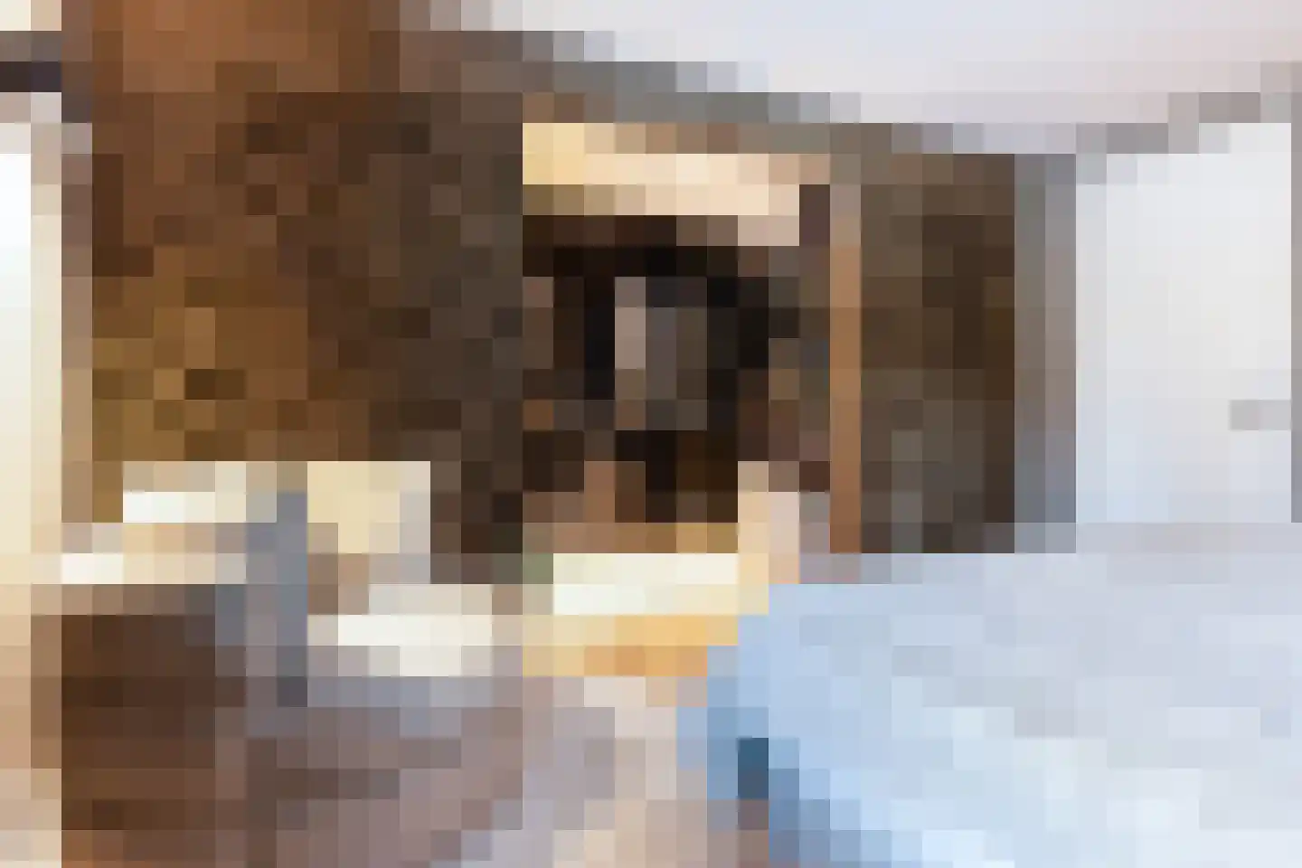 Keurkampstraat 3 Deventer thumbnail 50