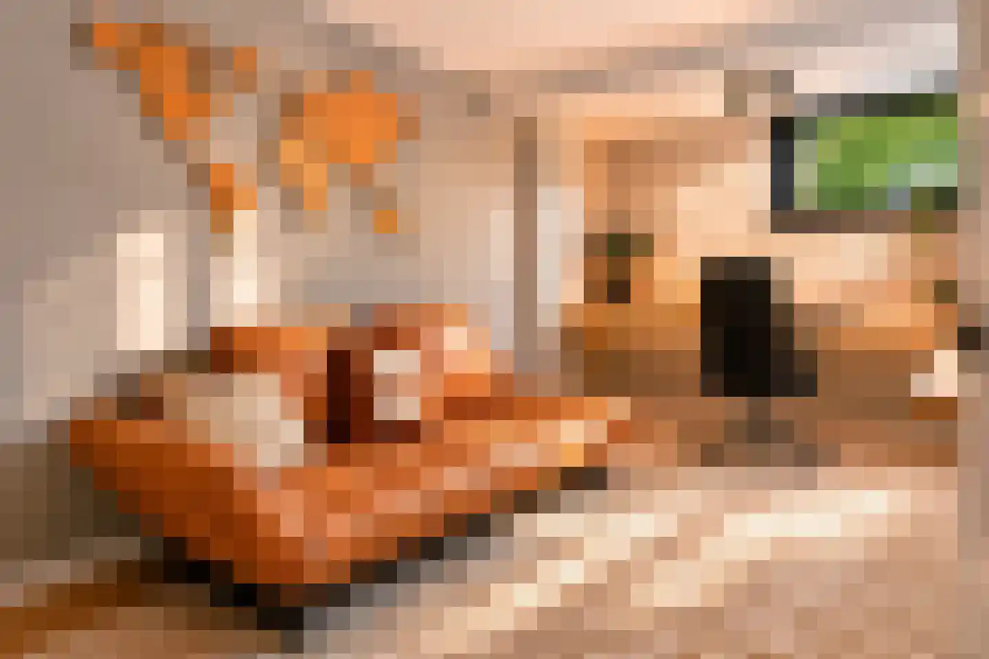 Keurkampstraat 3 Deventer thumbnail 74