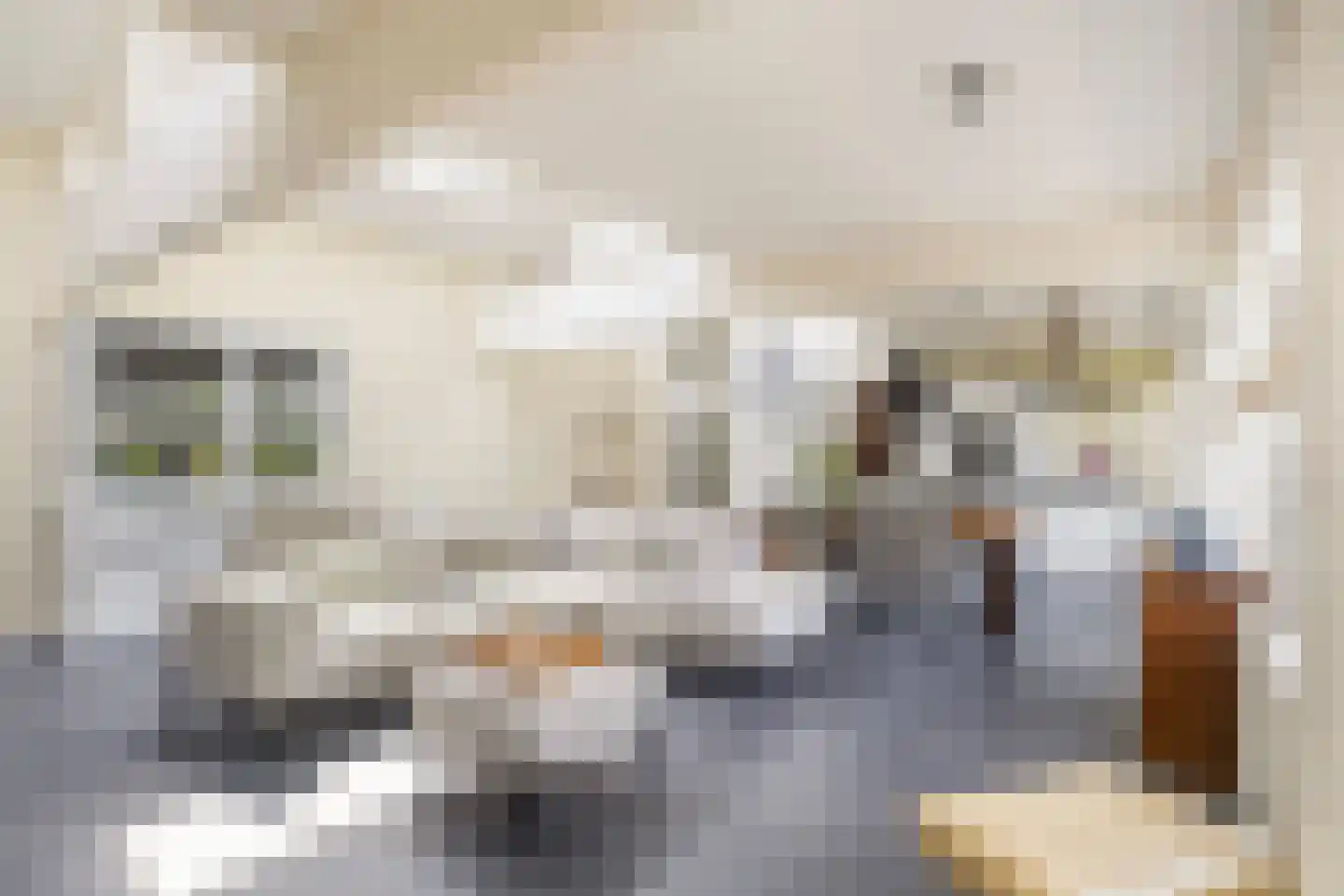 Keurloane 12 Buitenpost thumbnail 10