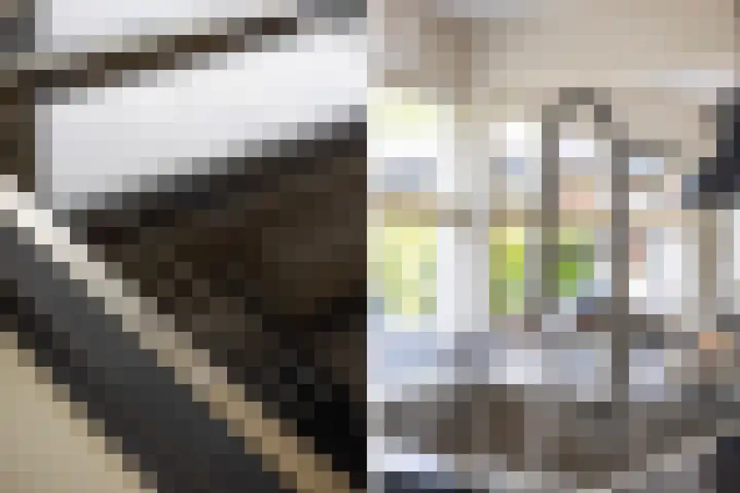 Keurloane 12 Buitenpost thumbnail 18