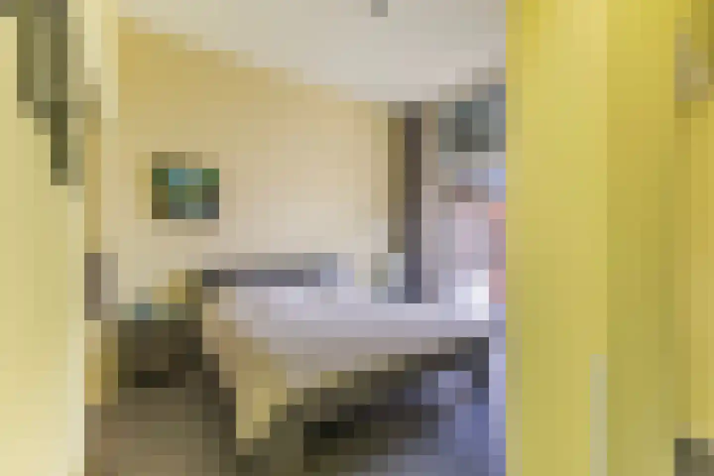 Keurloane 12 Buitenpost thumbnail 23