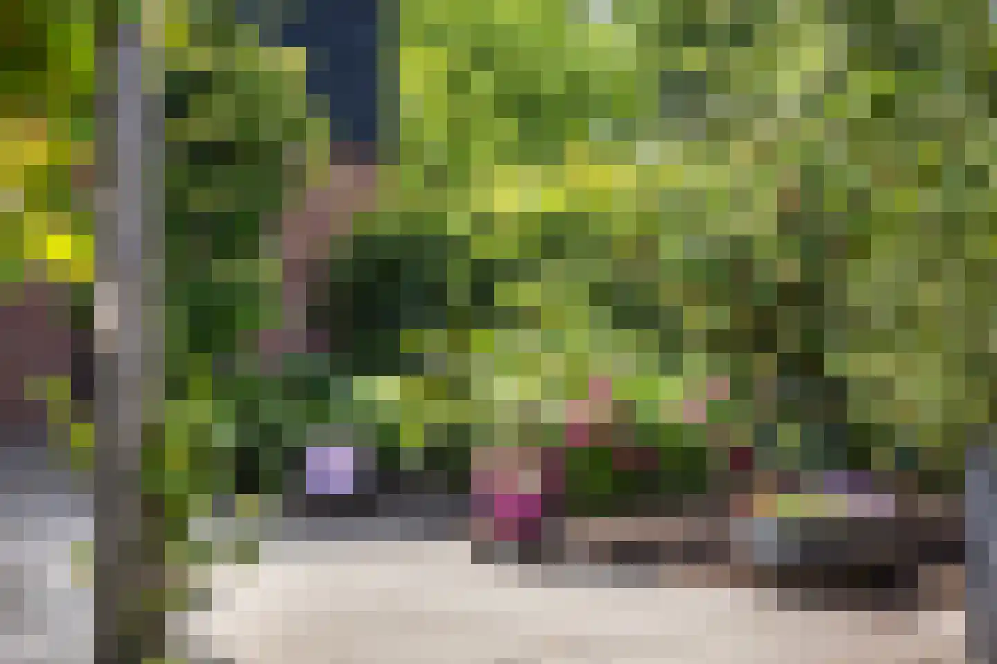 Keurloane 12 Buitenpost thumbnail 32