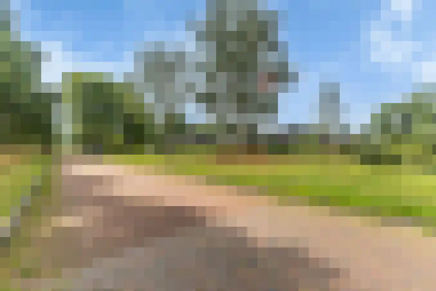 Keurloane 12 Buitenpost thumbnail 37