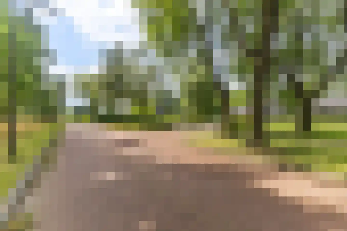 Keurloane 12 Buitenpost thumbnail 38