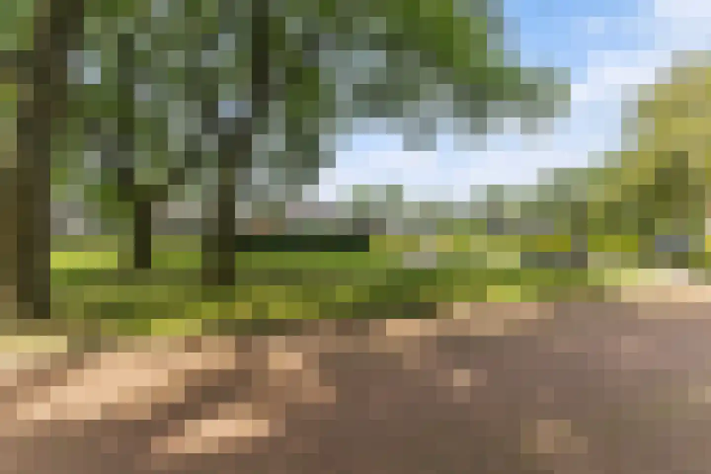 Keurloane 12 Buitenpost thumbnail 39