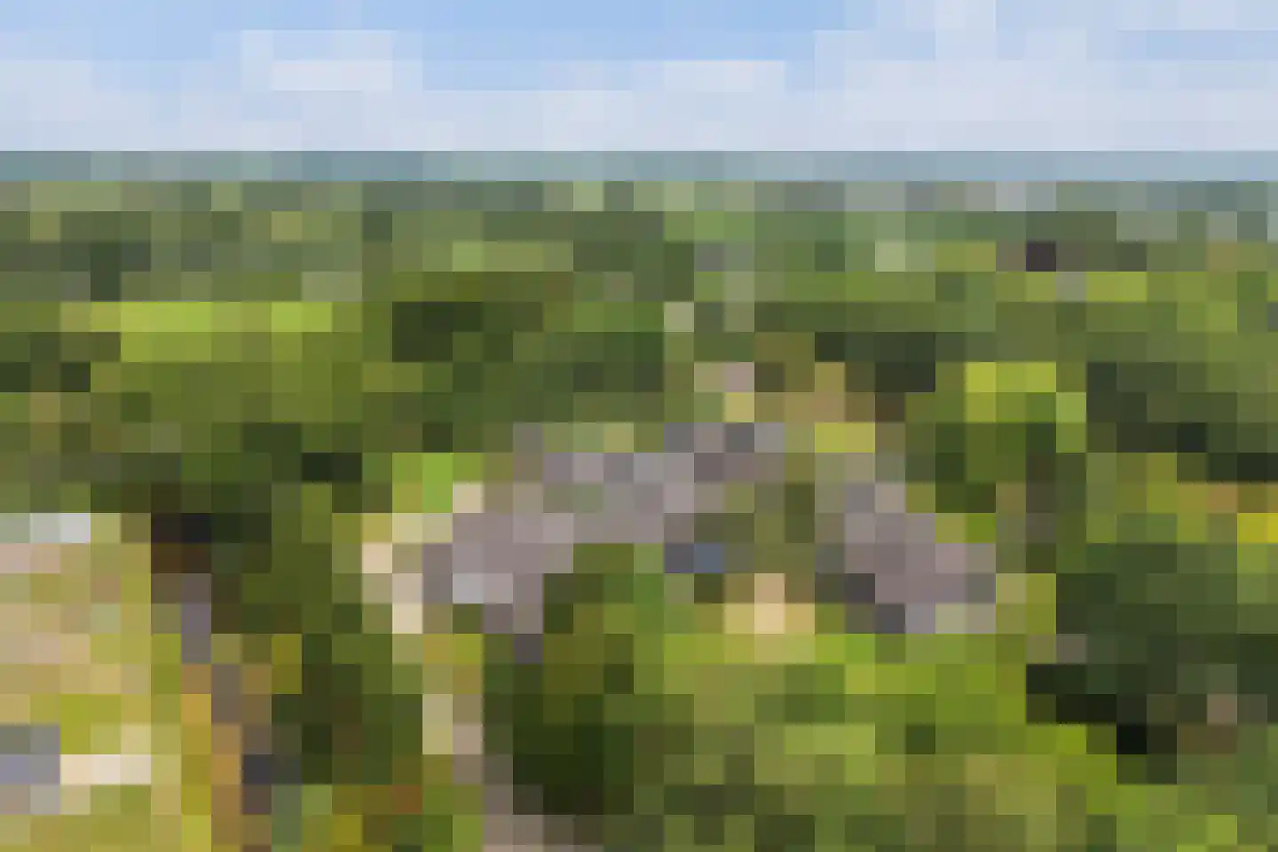 Keurloane 12 Buitenpost thumbnail 4