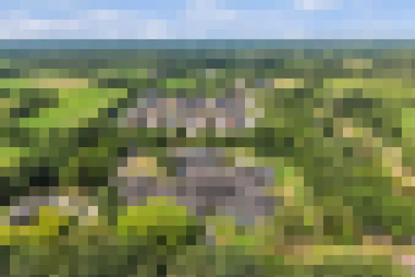 Keurloane 12 Buitenpost thumbnail 40