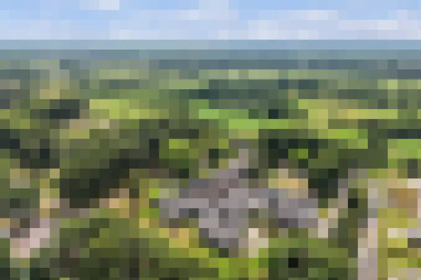 Keurloane 12 Buitenpost thumbnail 42