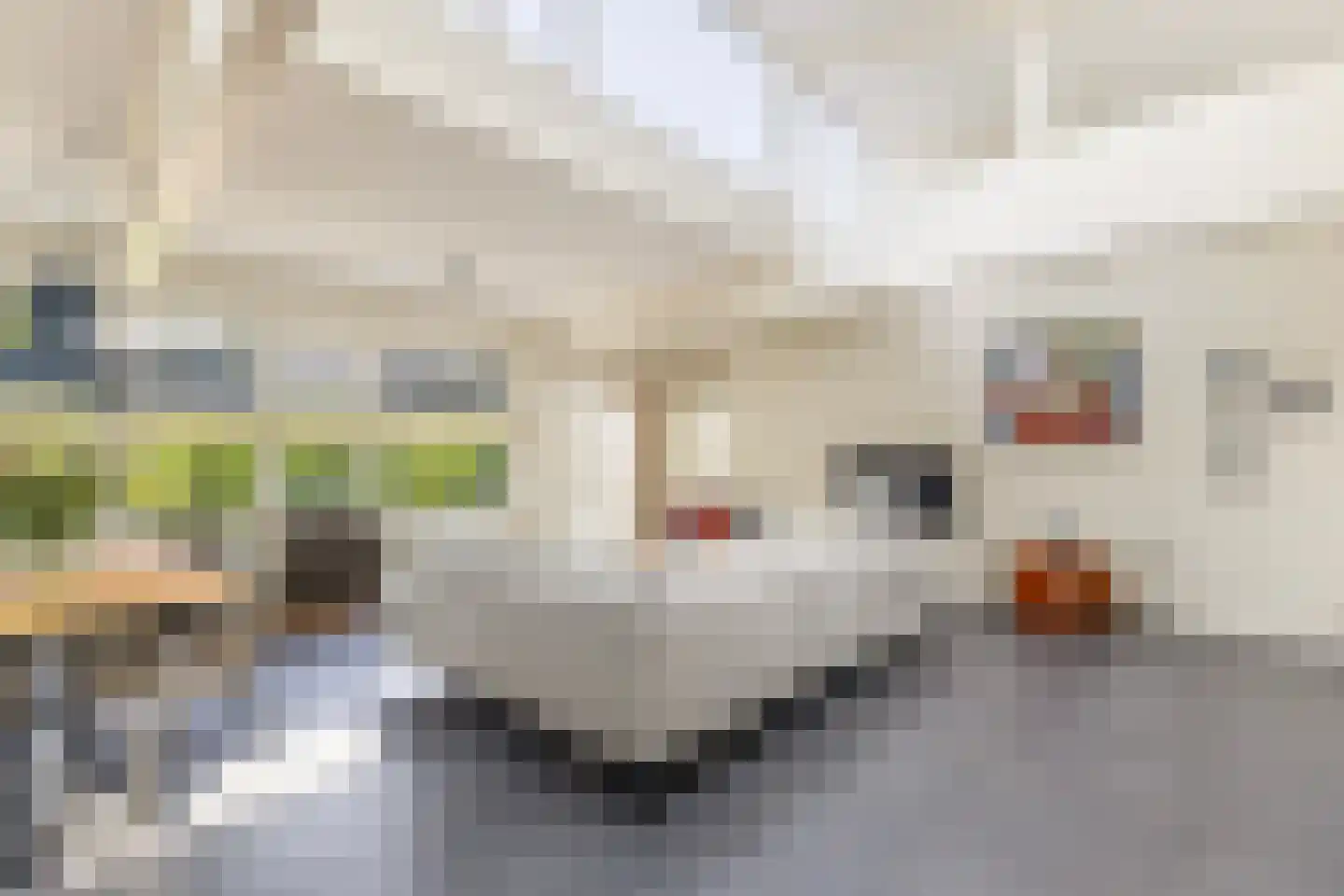 Keurloane 12 Buitenpost thumbnail 7