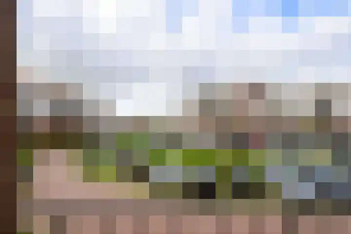 Keurmeesterhof 18 Rijnsburg thumbnail 22