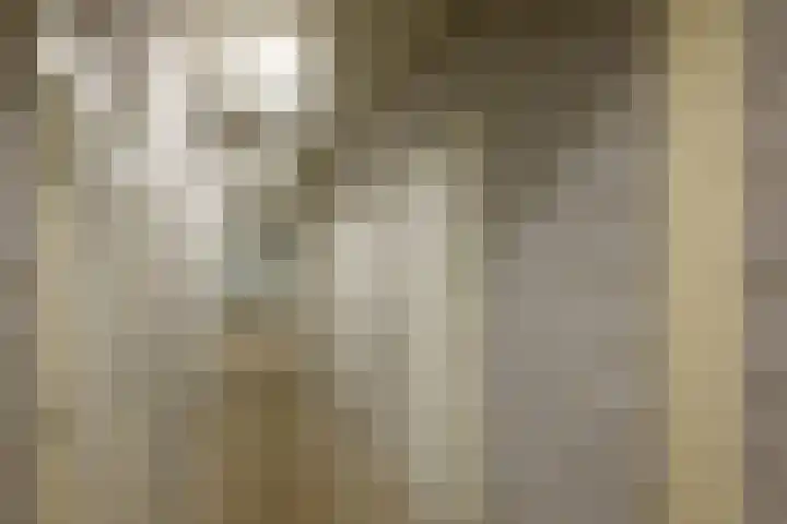 Keurmeesterhof 18 Rijnsburg thumbnail 34