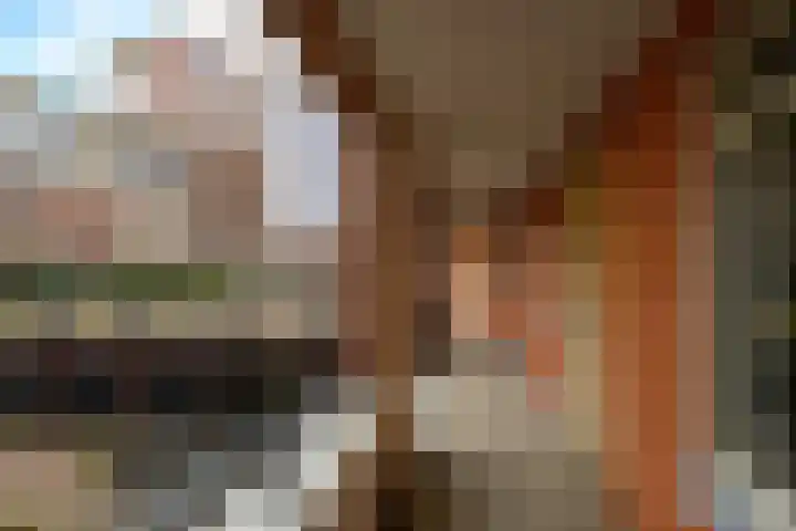 Keurmeesterhof 18 Rijnsburg thumbnail 7