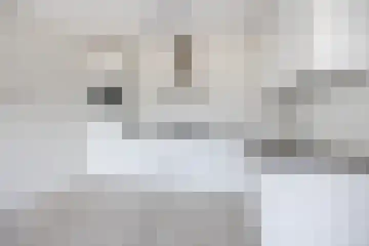Keurmeesterhof 38 Rijnsburg thumbnail 18