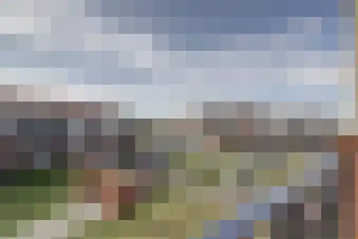 Keurmeesterhof 44 Rijnsburg thumbnail 38