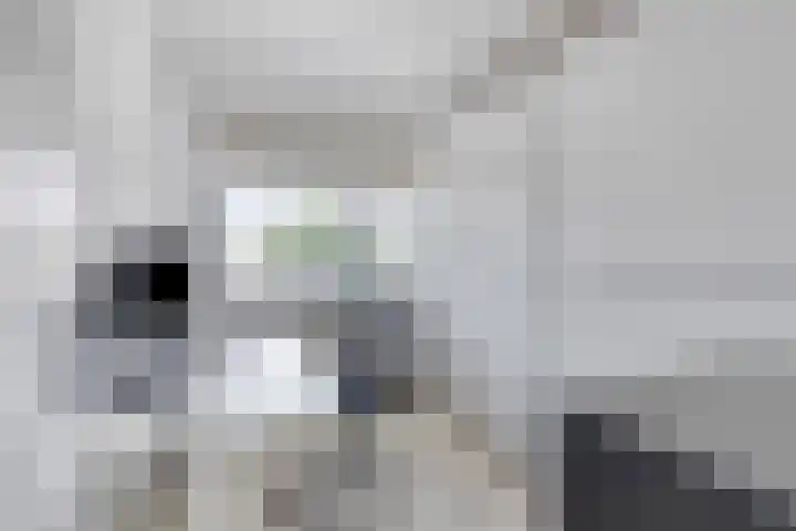 Keurmeestersdreef 117 D Maastricht thumbnail 18