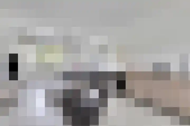 Keurmeestersdreef 117 D Maastricht thumbnail 6