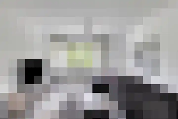 Keurmeestersdreef 117 D Maastricht thumbnail 7