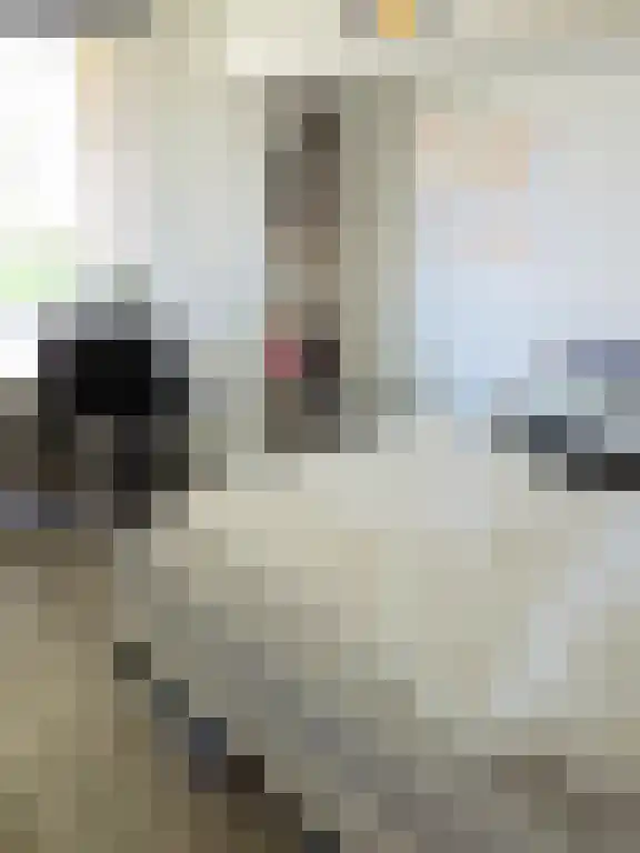 Keurmeestersplein 1 Bk3 Maastricht thumbnail 6