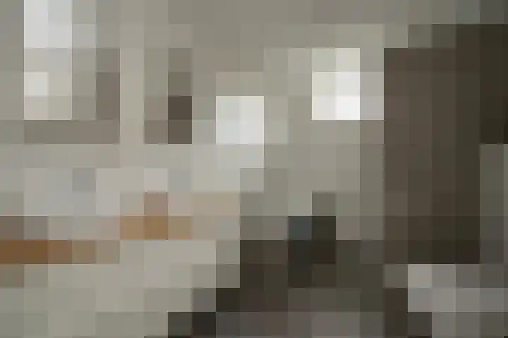 Keurnotenlaan 44 Rolde thumbnail 29