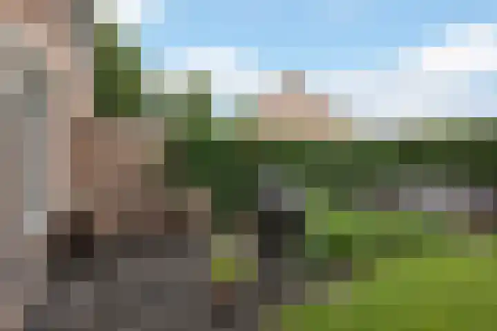 Keurnotenlaan 44 Rolde thumbnail 40