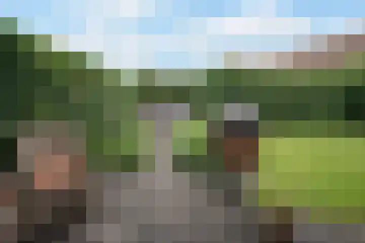 Keurnotenlaan 44 Rolde thumbnail 41