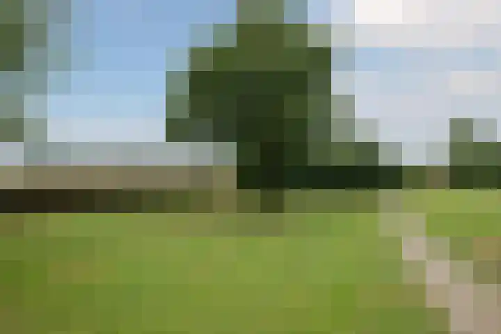 Keurnotenlaan 44 Rolde thumbnail 44