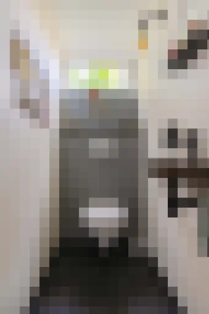 Keurnotenlaan 7 Gieten thumbnail 11