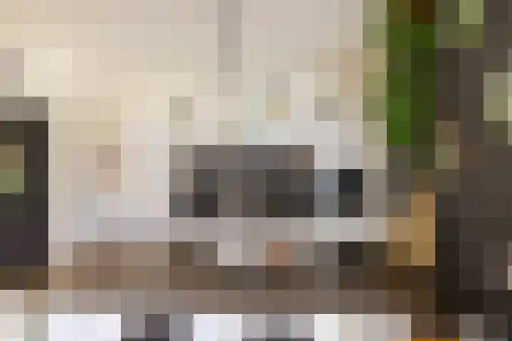Keurnotenlaan 7 Gieten thumbnail 18