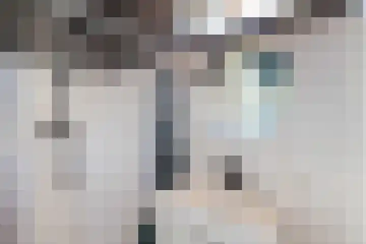 Keurnotenlaan 7 Gieten thumbnail 25