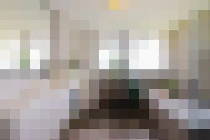 Keurnotenlaan 7 Gieten thumbnail 34
