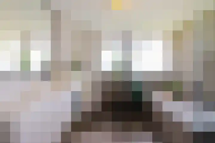 Keurnotenlaan 7 Gieten thumbnail 4