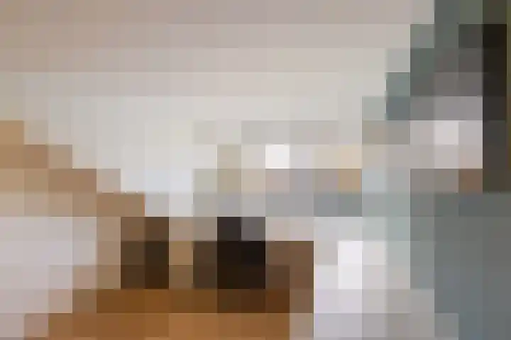 Keurnotenlaan 7 Gieten thumbnail 40