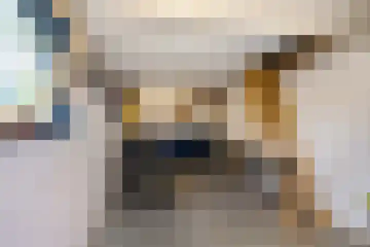 Keurnotenlaan 7 Gieten thumbnail 46