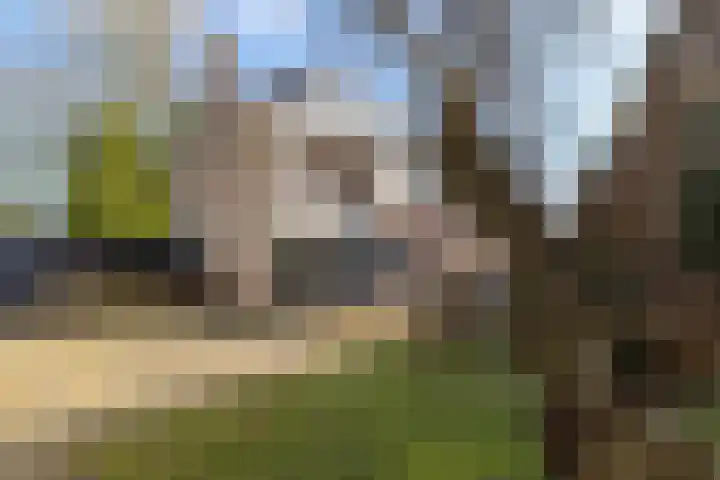 Keurnotenlaan 7 Gieten thumbnail 49