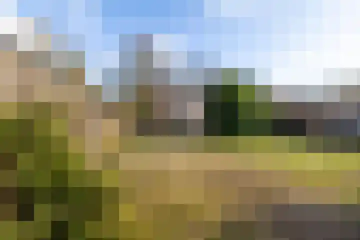 Keurnotenlaan 7 Gieten thumbnail 5