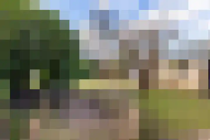 Keurnotenlaan 7 Gieten thumbnail 51