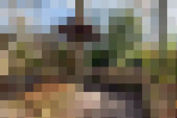 Keurnotenlaan 7 Gieten thumbnail 55