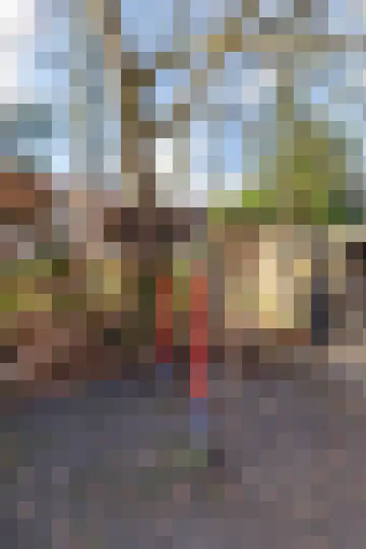Keurnotenlaan 7 Gieten thumbnail 56