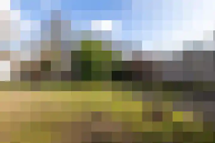 Keurnotenlaan 7 Gieten thumbnail 58