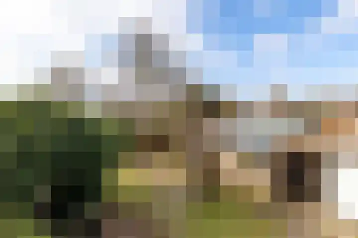 Keurnotenlaan 7 Gieten thumbnail 59
